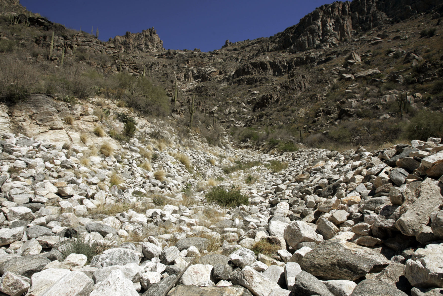 Sabino Canyon Recreation Area, Tucson